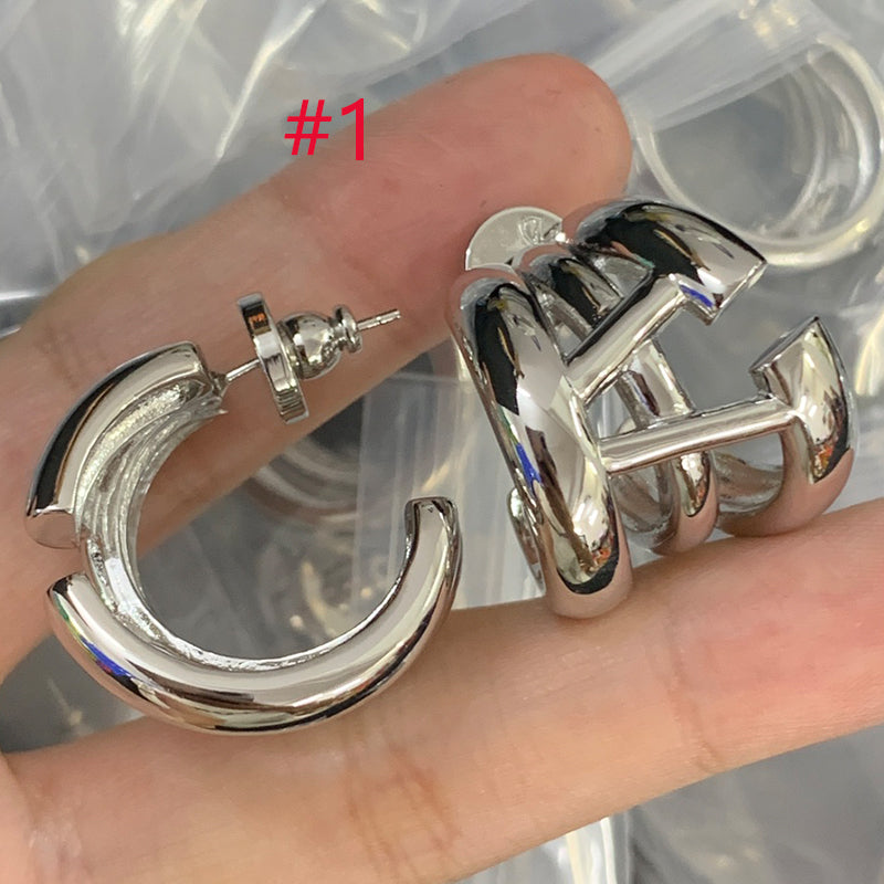 84VL21EDE Stylish Earrings