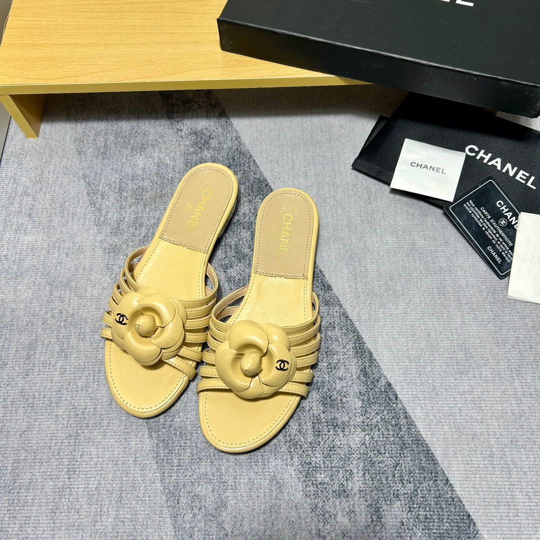 14C186ZDE Stylish Slippers