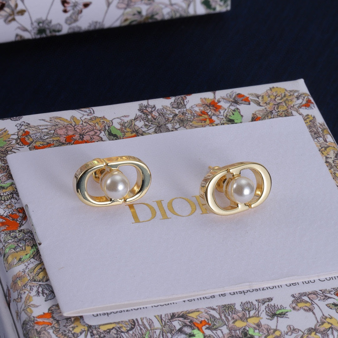 14D256EDE Stylish Earrings