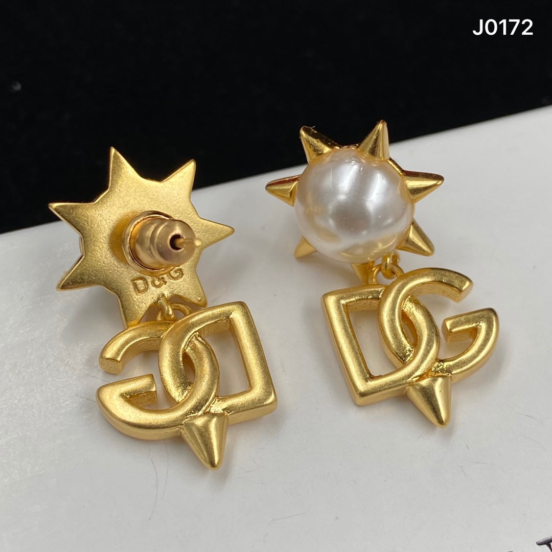 1NV135EDE Stylish Earrings