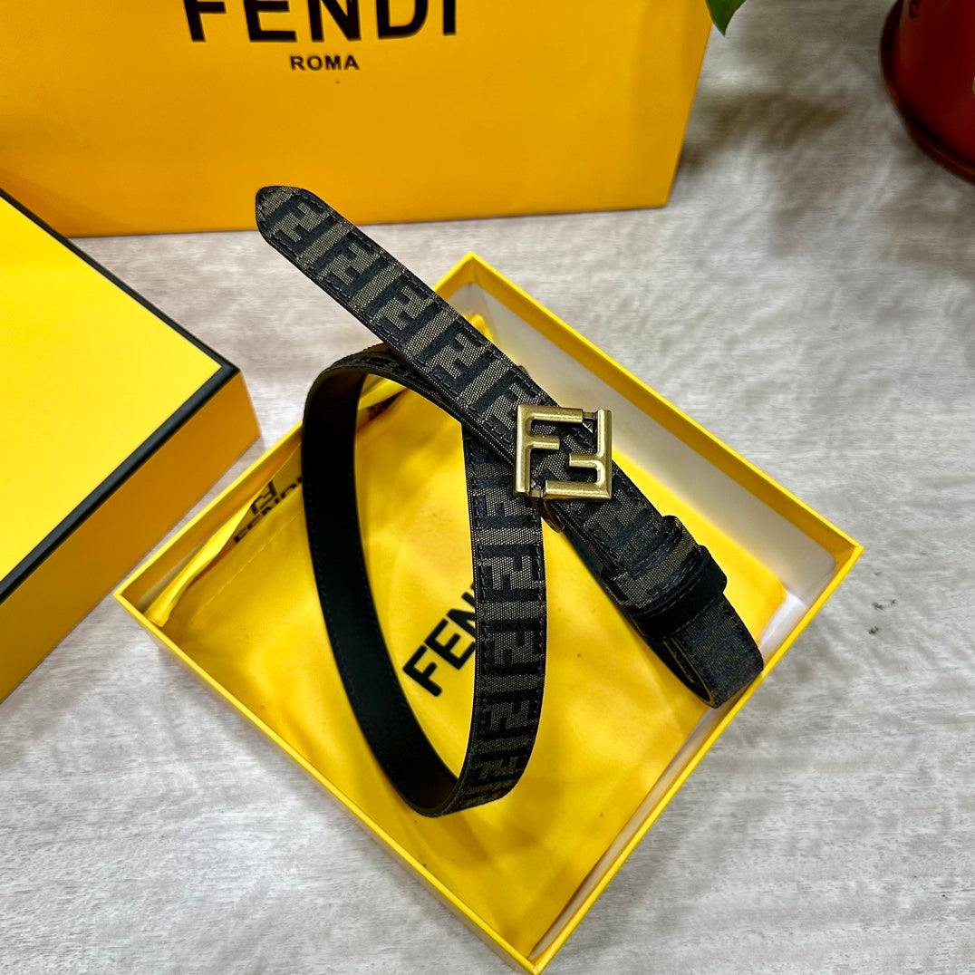 1WF187PDE Stylish  High quality belt With full package