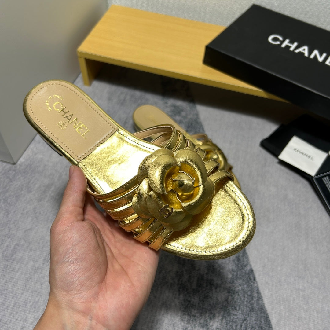 14C186ZDE Stylish Slippers