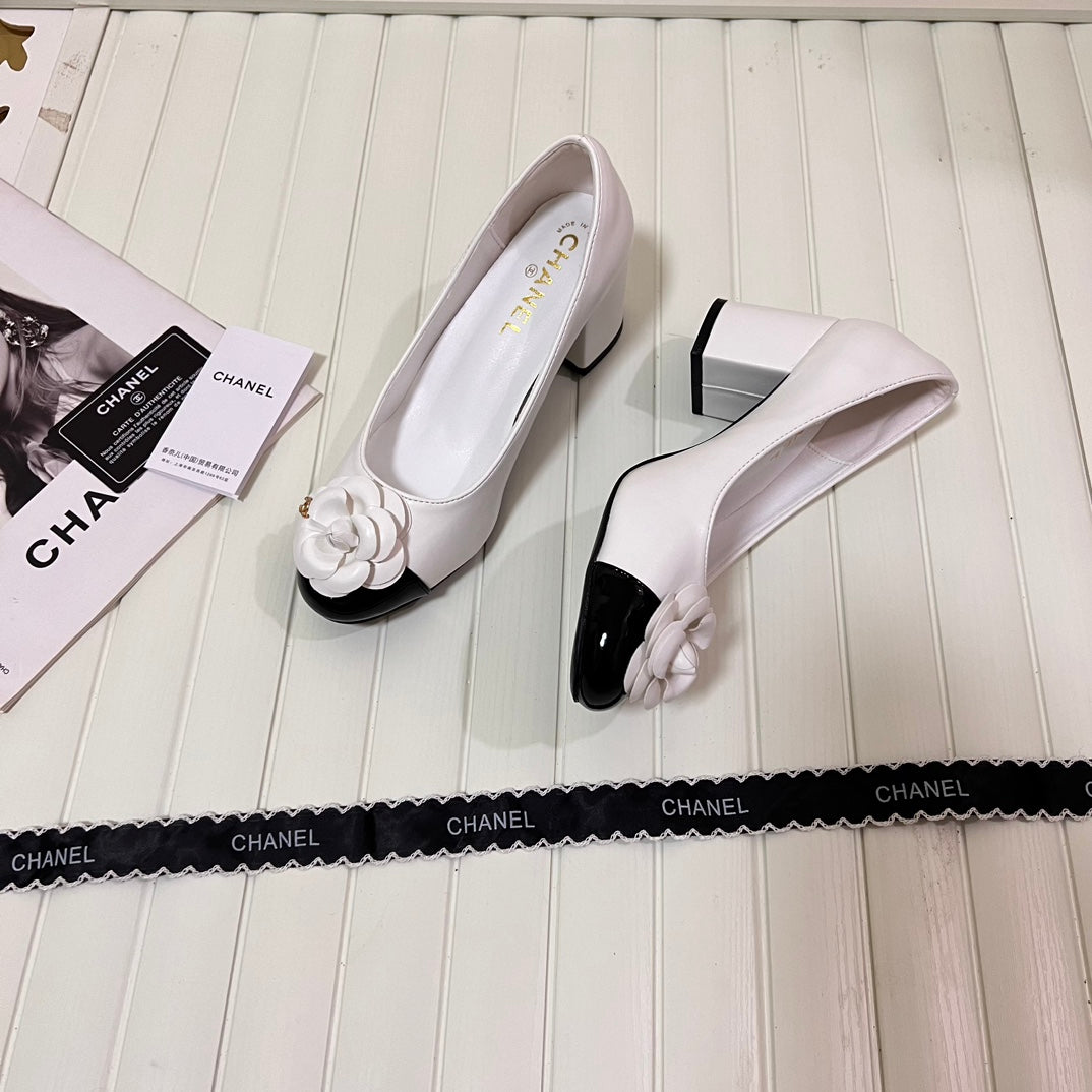 1WC267ZDE Stylish shoes