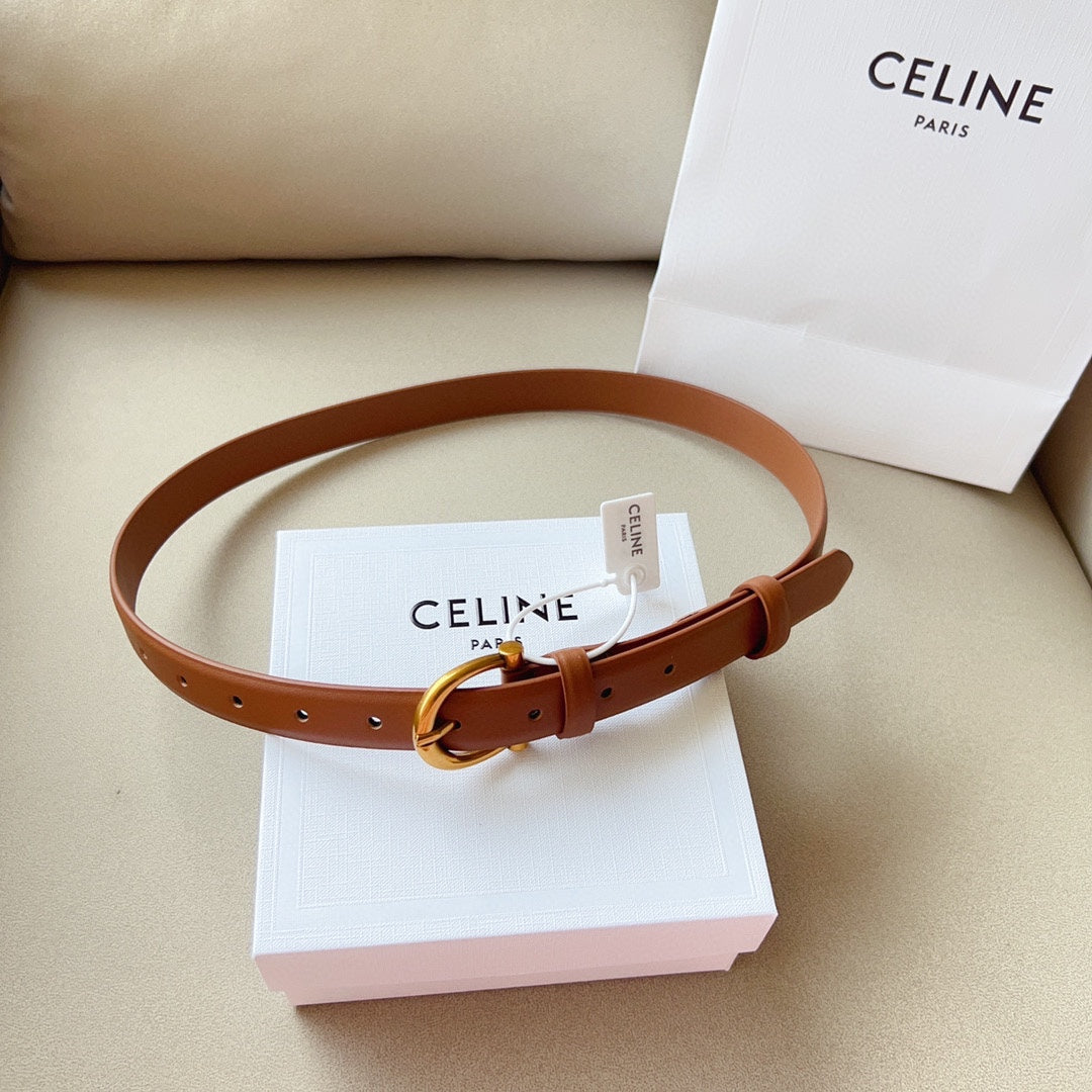 1WN178PDE Stylish  High quality belt With full package