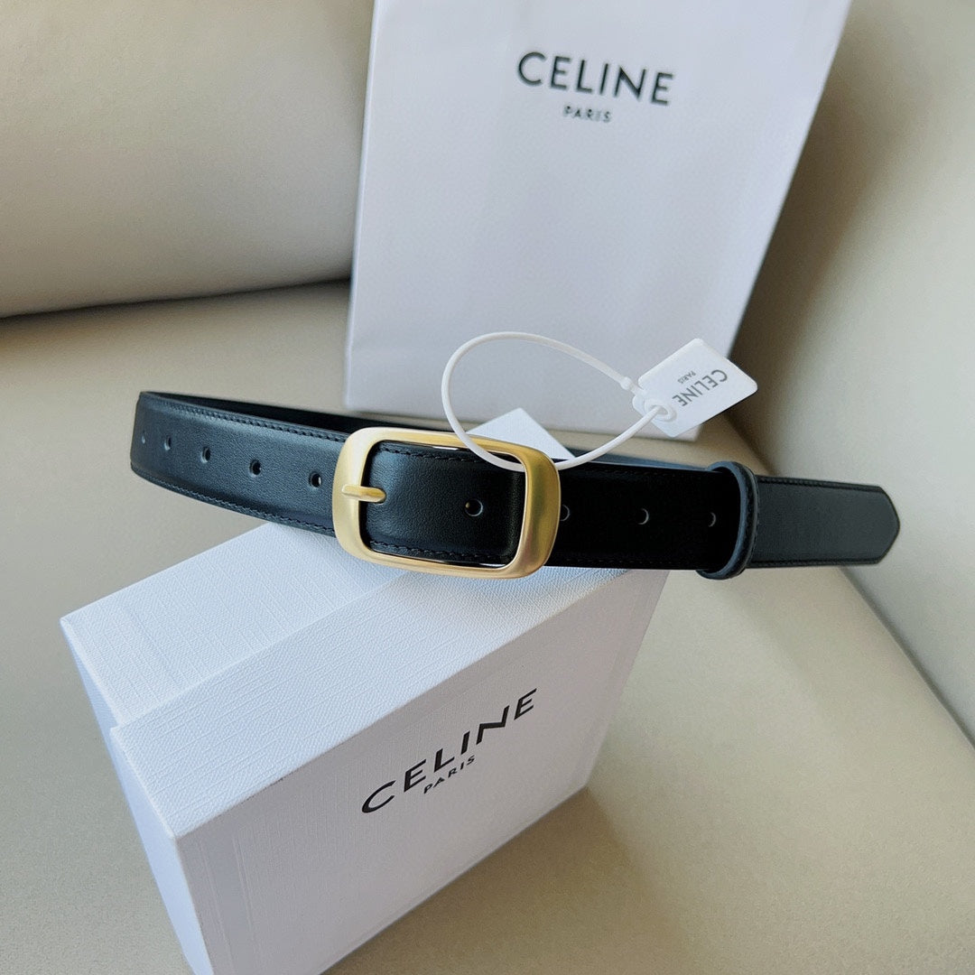 1WN180PDE Stylish  High quality belt With full package