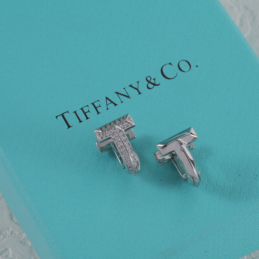 15NT2EDE Stylish Earrings