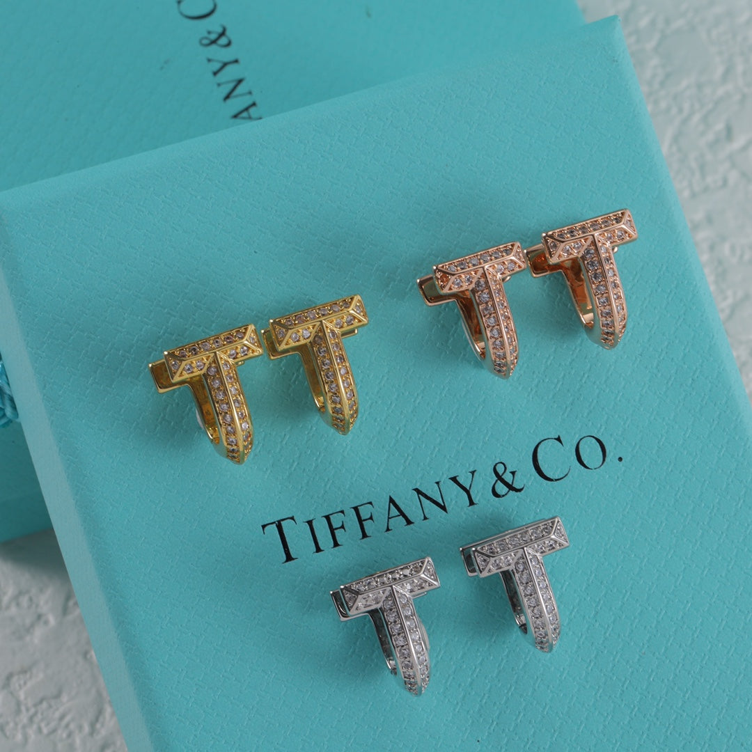 15NT2EDE Stylish Earrings