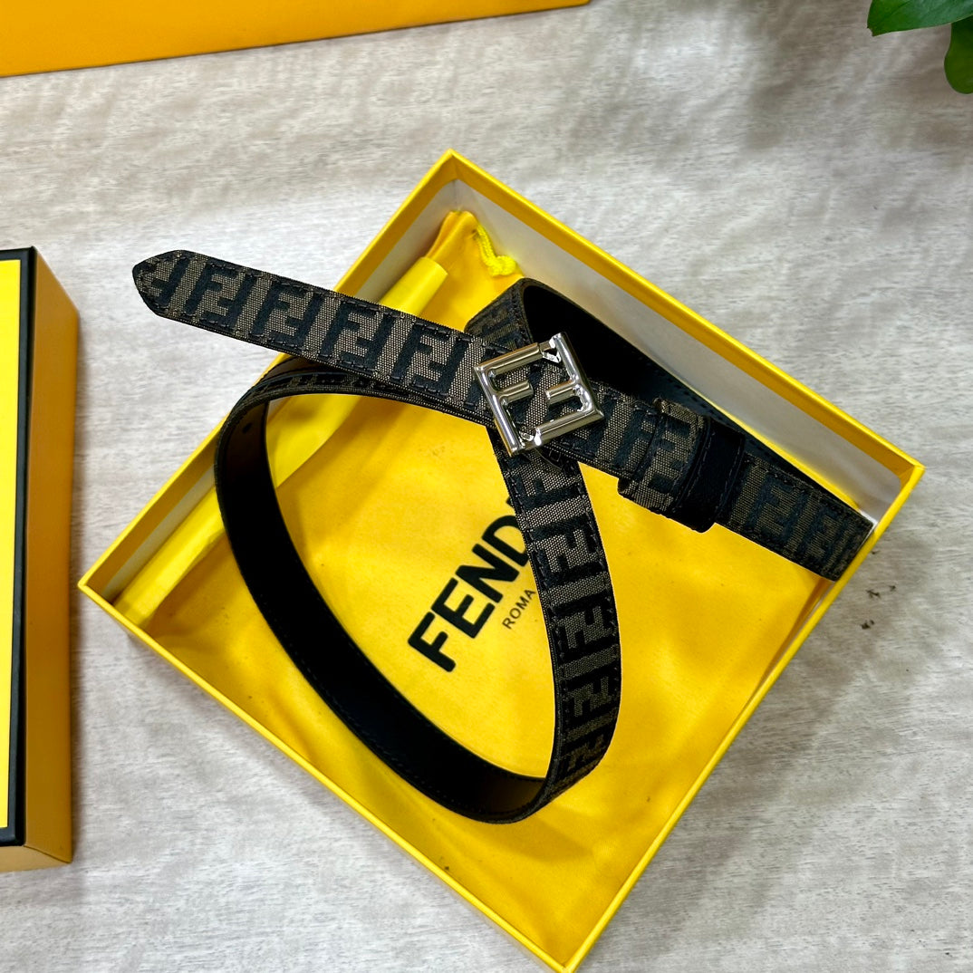 1WF187PDE Stylish  High quality belt With full package