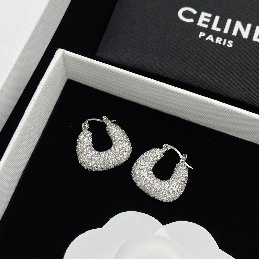 14CL245EDE Stylish Earrings