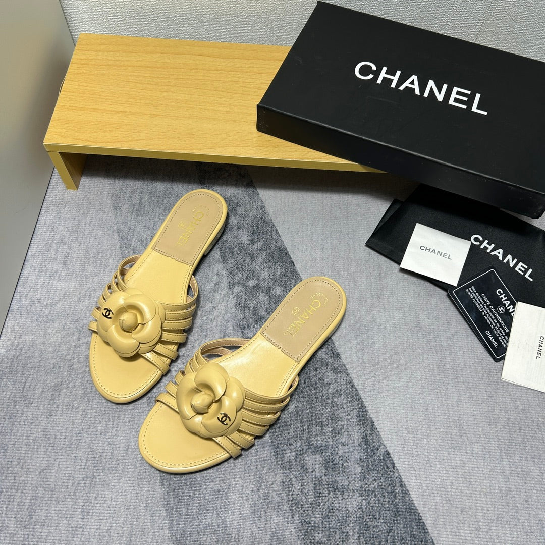 14C186ZDE Stylish Slippers