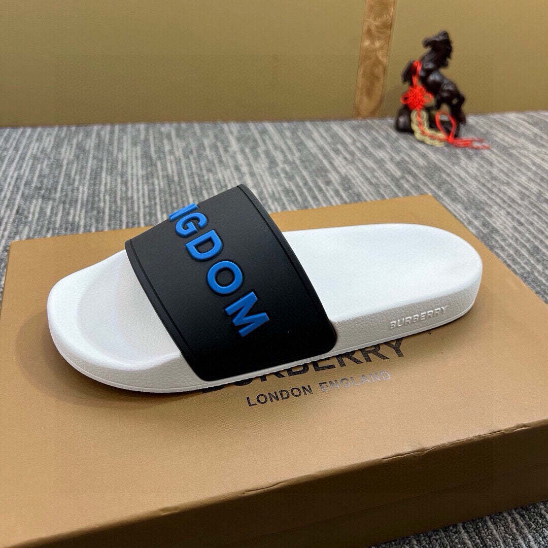 535ZR255ZDE Stylish Slippers