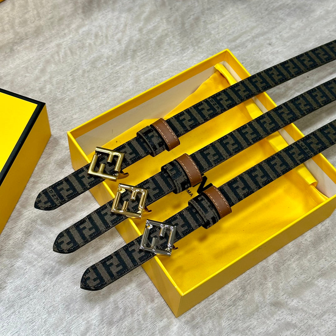 1WF186PDE Stylish  High quality belt With full package