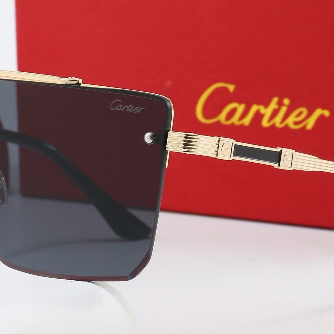 285RK55TDE Stylish Sunglasses