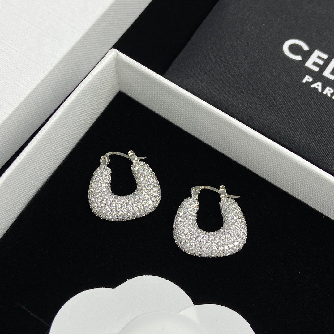 14CL245EDE Stylish Earrings