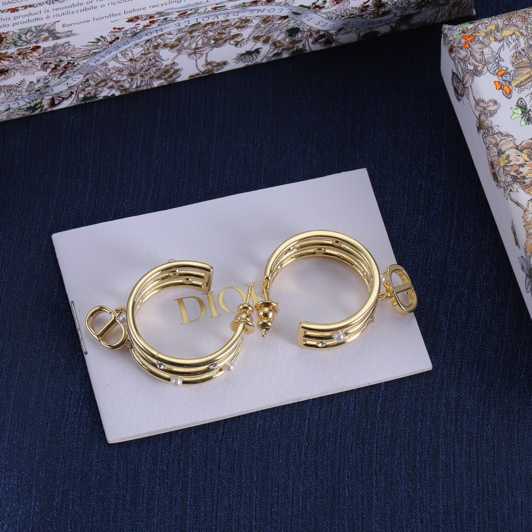 14D497EDE Stylish Earrings