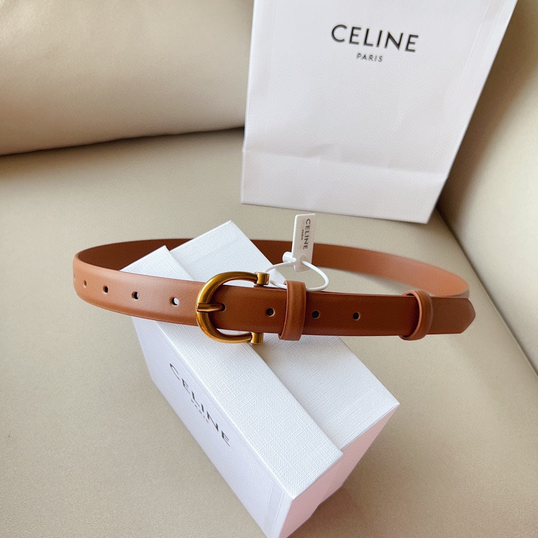 1WN178PDE Stylish  High quality belt With full package
