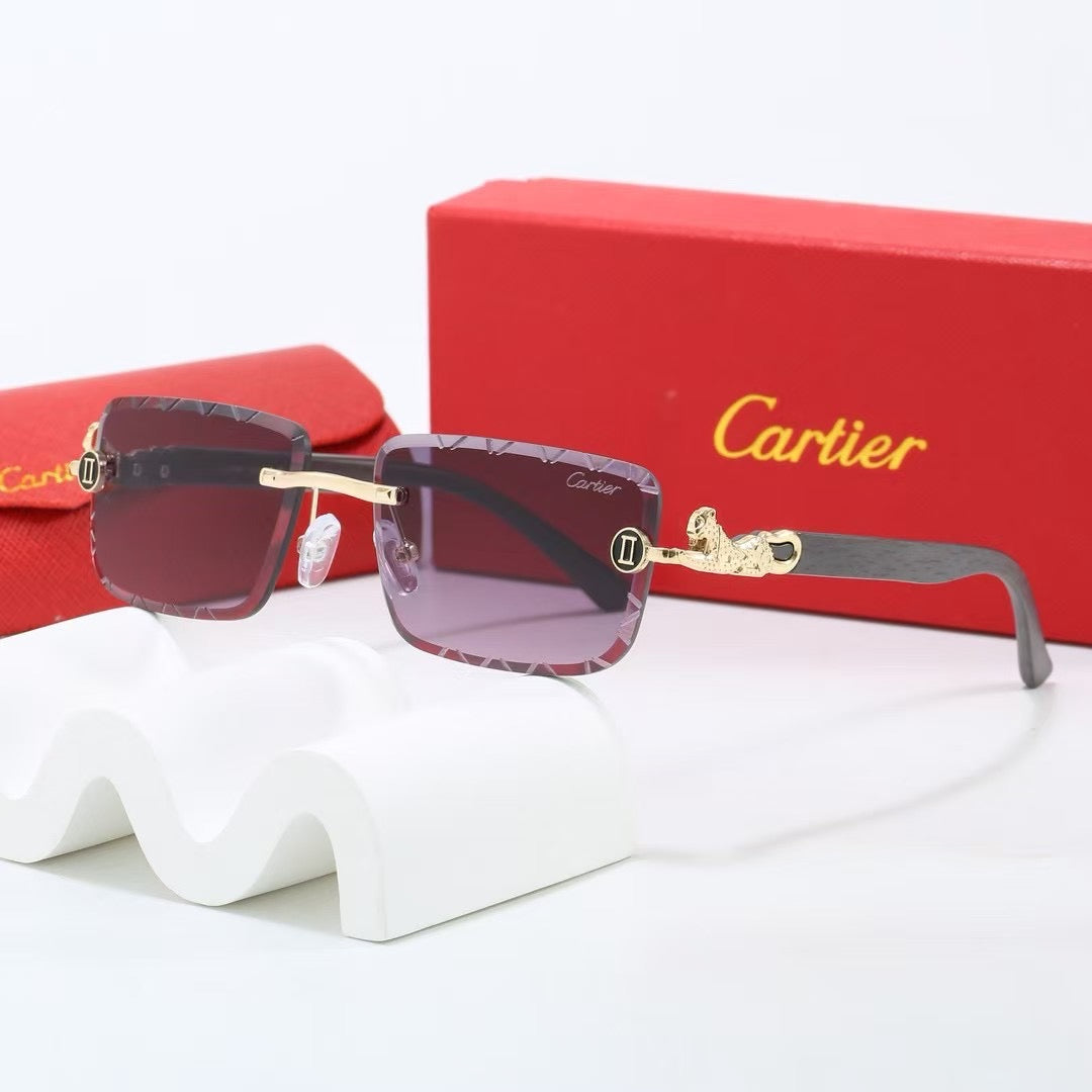 285RK65TDE Stylish Sunglasses