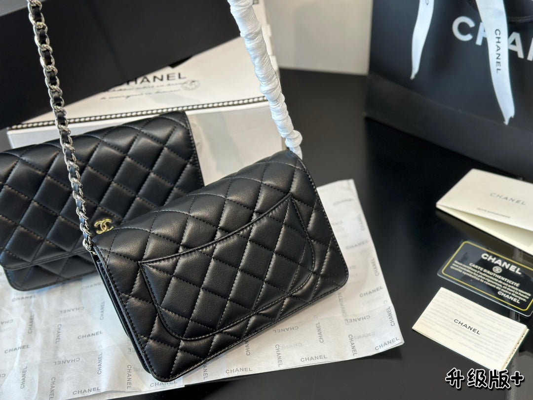 1WC67BDE Stylish leather bag