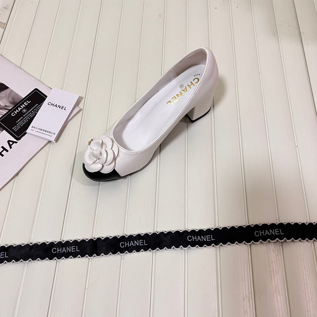 1WC267ZDE Stylish shoes
