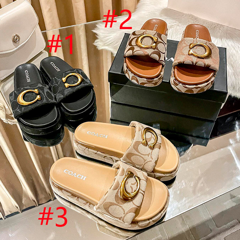 14A173ZDE Stylish Slippers