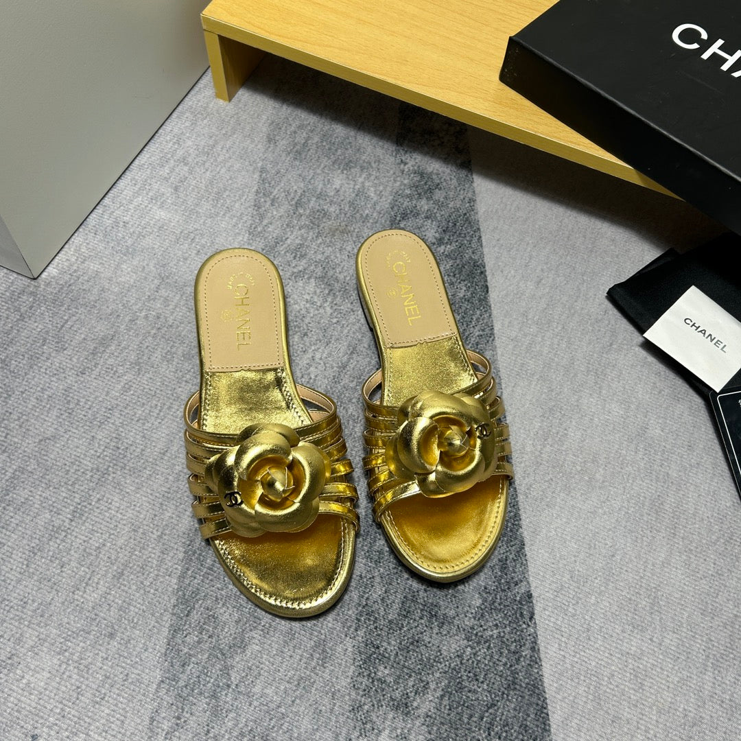 14C186ZDE Stylish Slippers