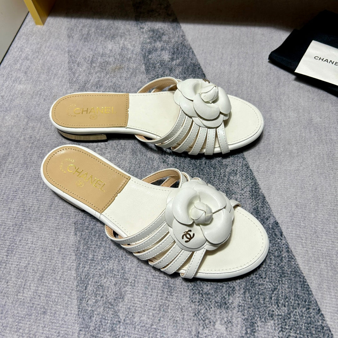 14C186ZDE Stylish Slippers