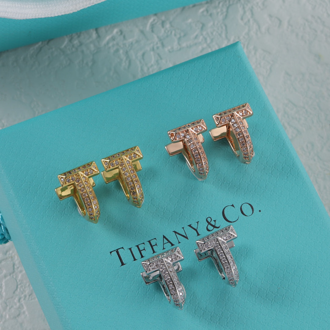 15NT2EDE Stylish Earrings