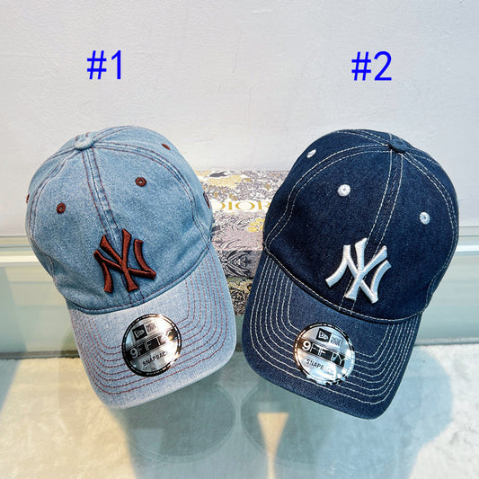125ZA506MDE Stylish hats