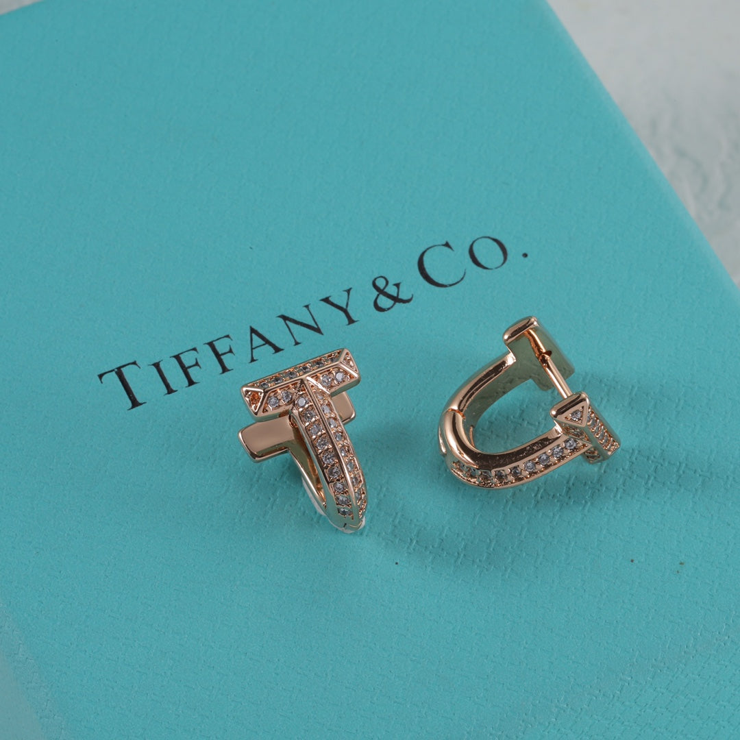 15NT2EDE Stylish Earrings