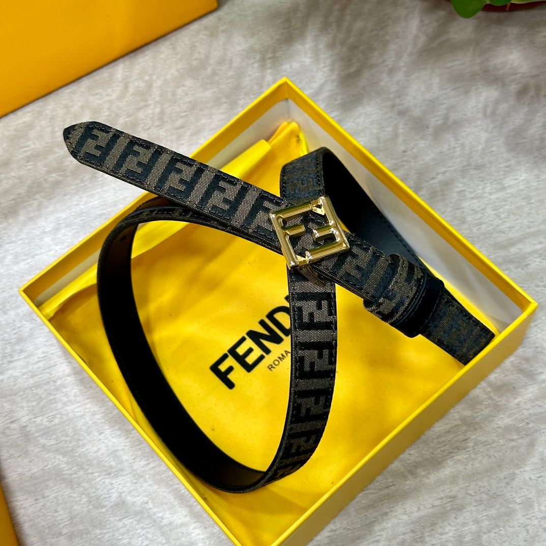 1WF187PDE Stylish  High quality belt With full package
