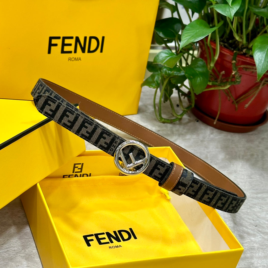 1WF188PDE Stylish  High quality belt With full package