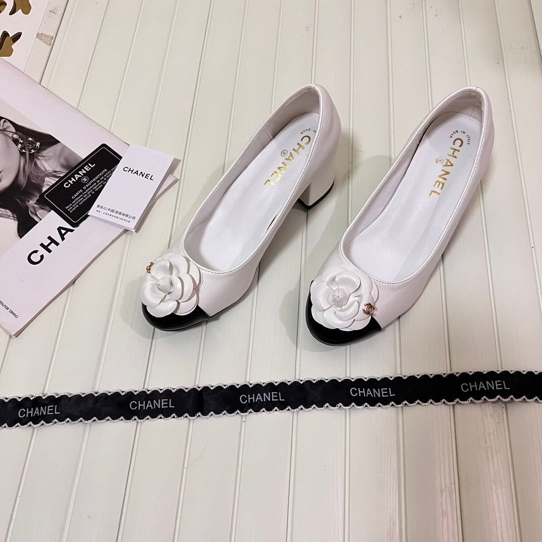 1WC267ZDE Stylish shoes