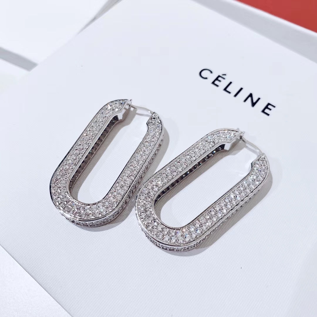 1XCL559XDE Stylish Earrings