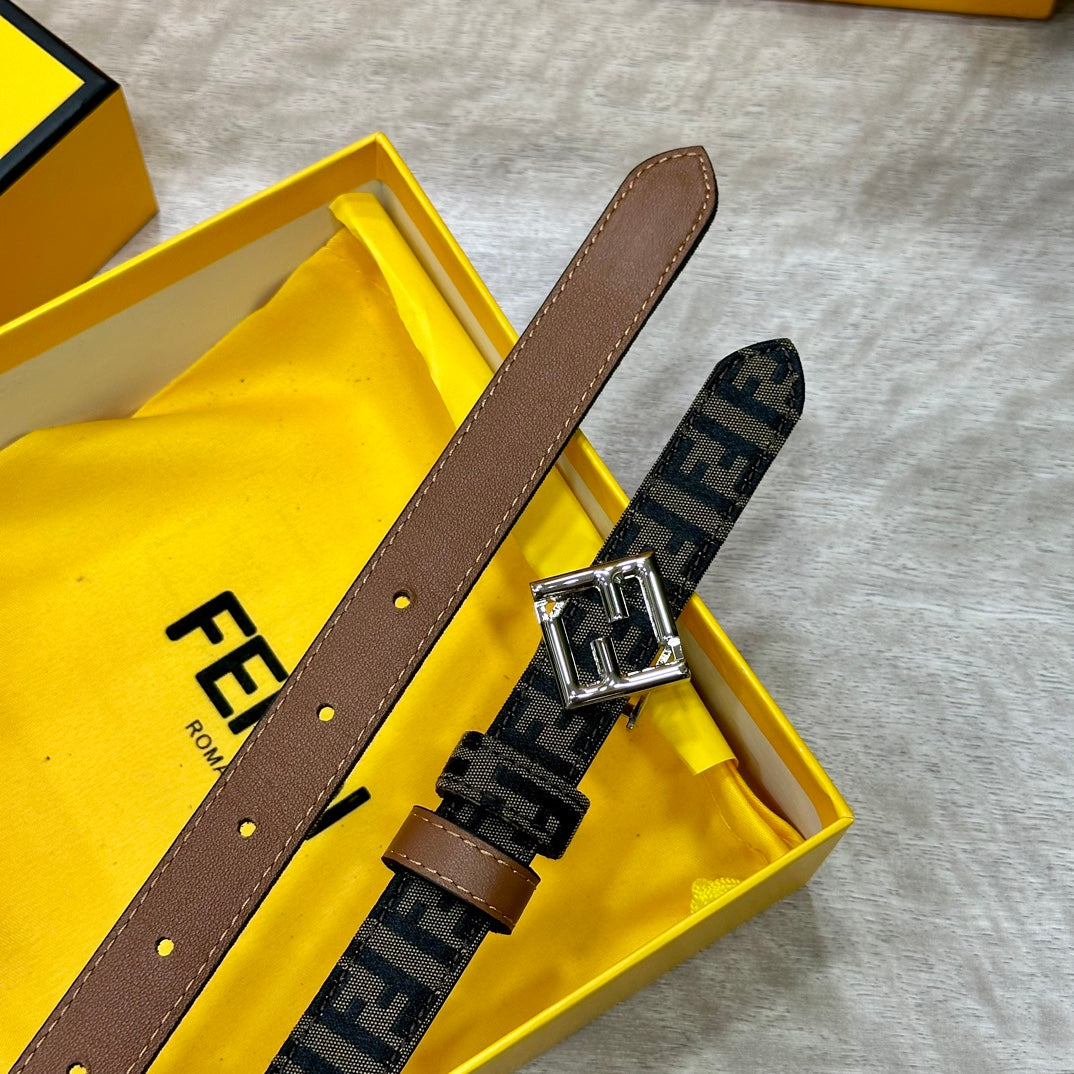 1WF186PDE Stylish  High quality belt With full package