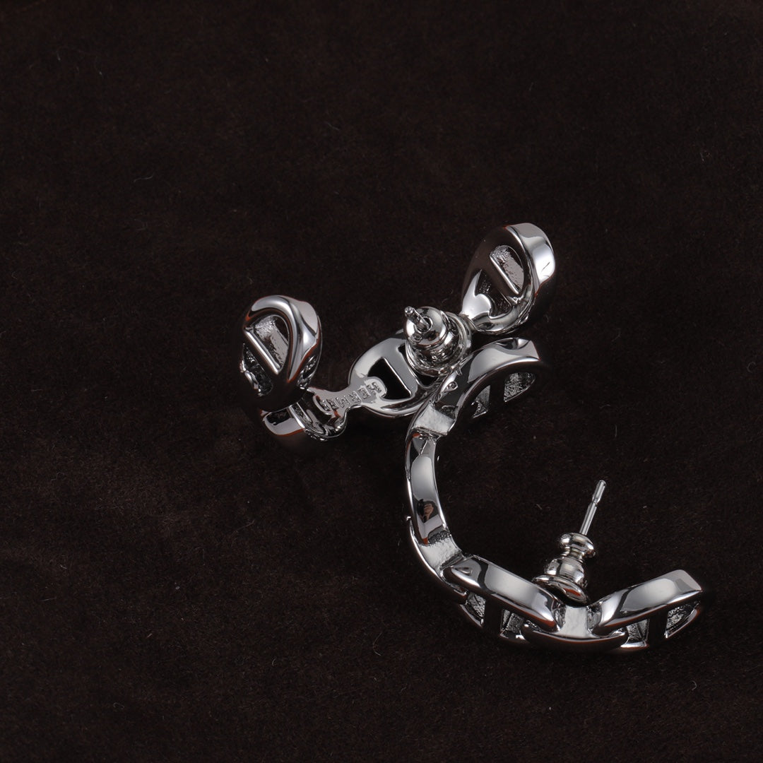 14H994EDE Stylish Earrings