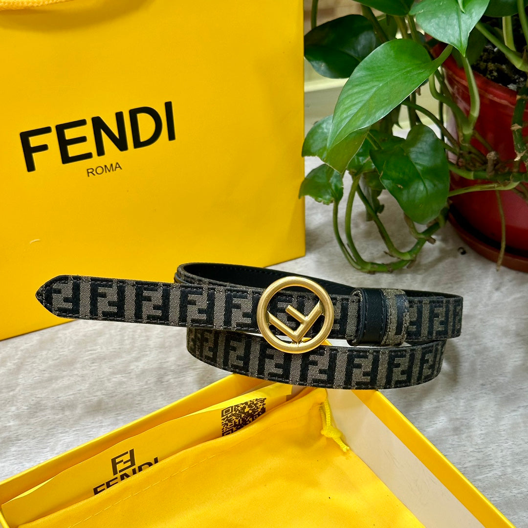 1WF176PDE Stylish  High quality belt With full package