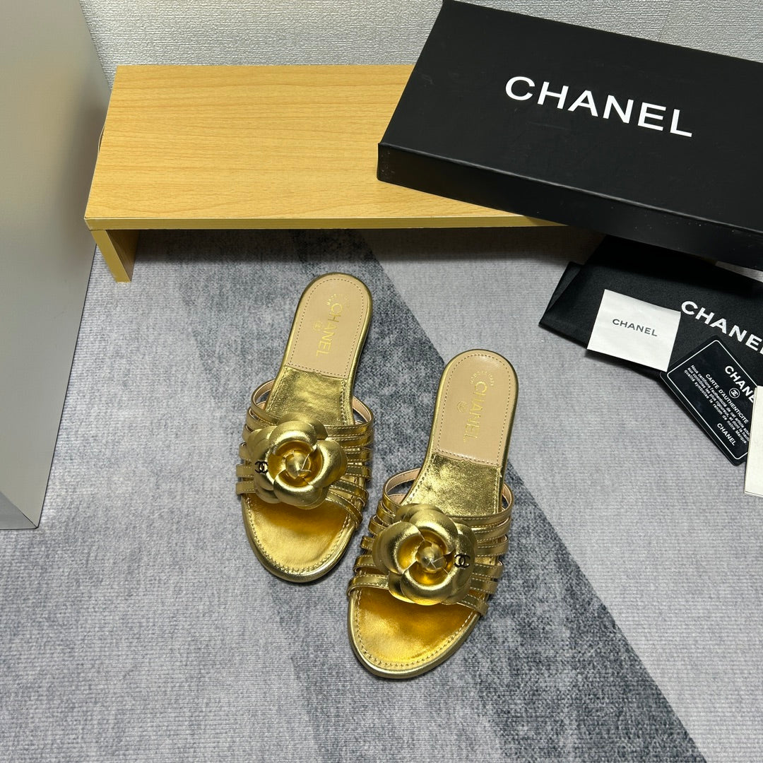 14C186ZDE Stylish Slippers