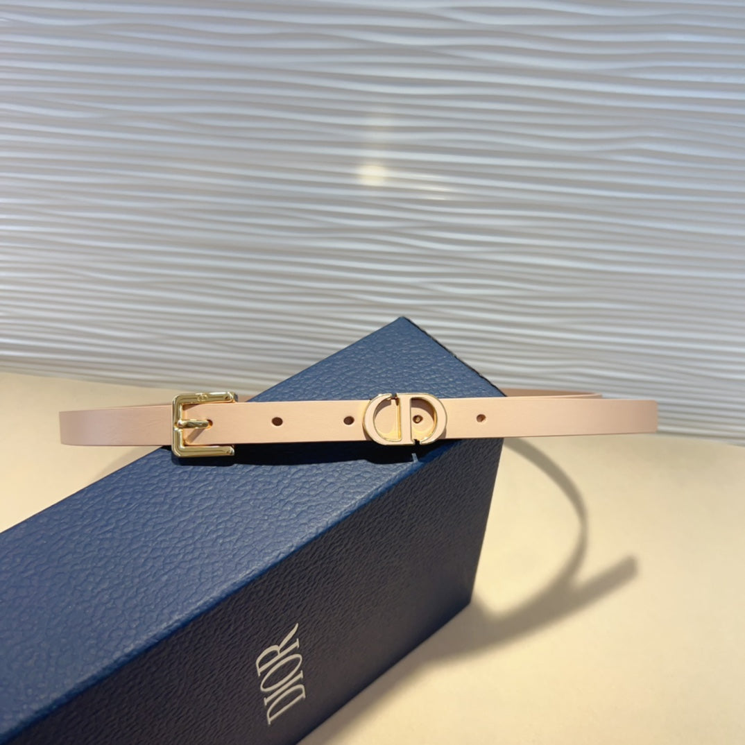 1WD181PDE Stylish  High quality belt With full package