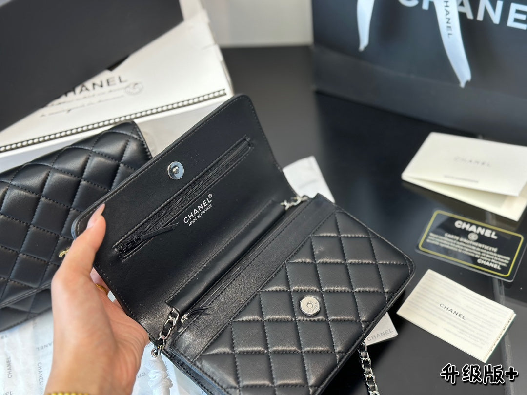 1WC67BDE Stylish leather bag