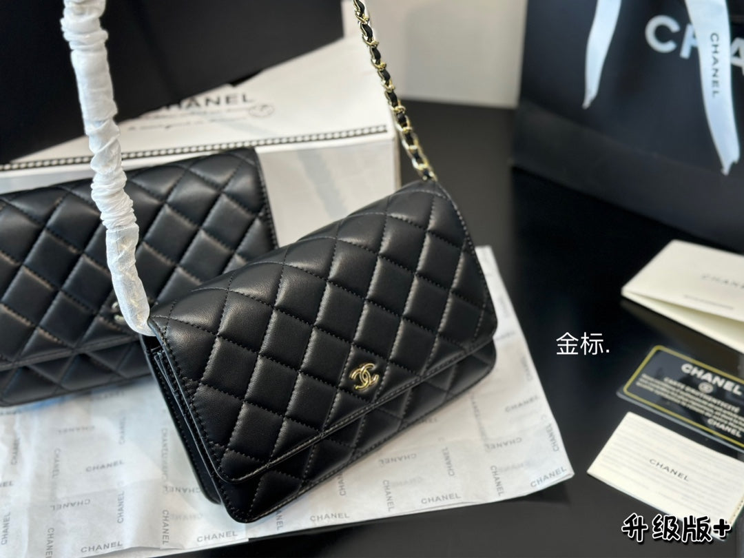 1WC67BDE Stylish leather bag