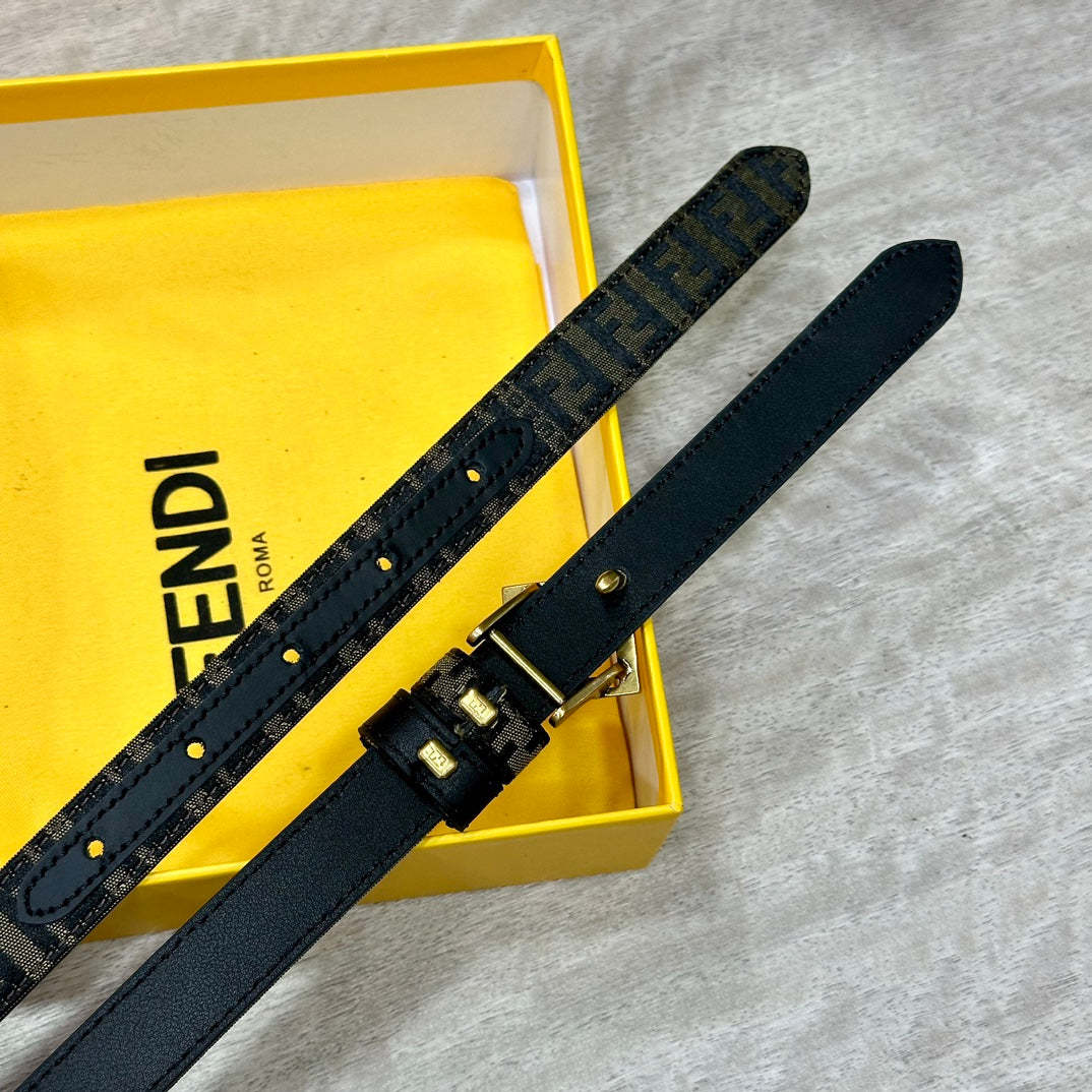 1WF187PDE Stylish  High quality belt With full package