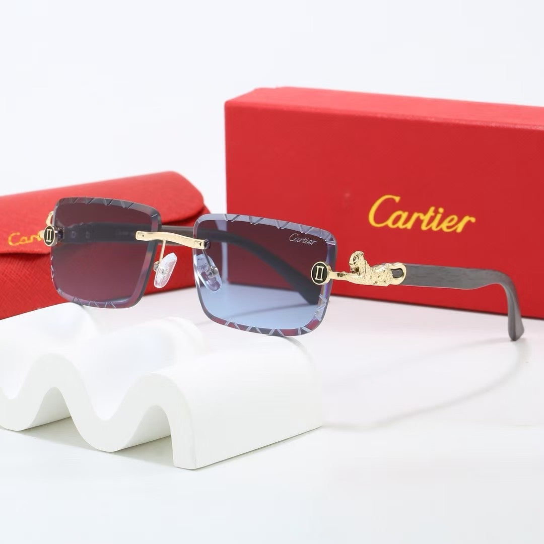 285RK65TDE Stylish Sunglasses