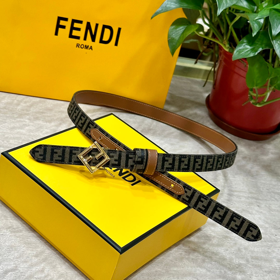 1WF186PDE Stylish  High quality belt With full package