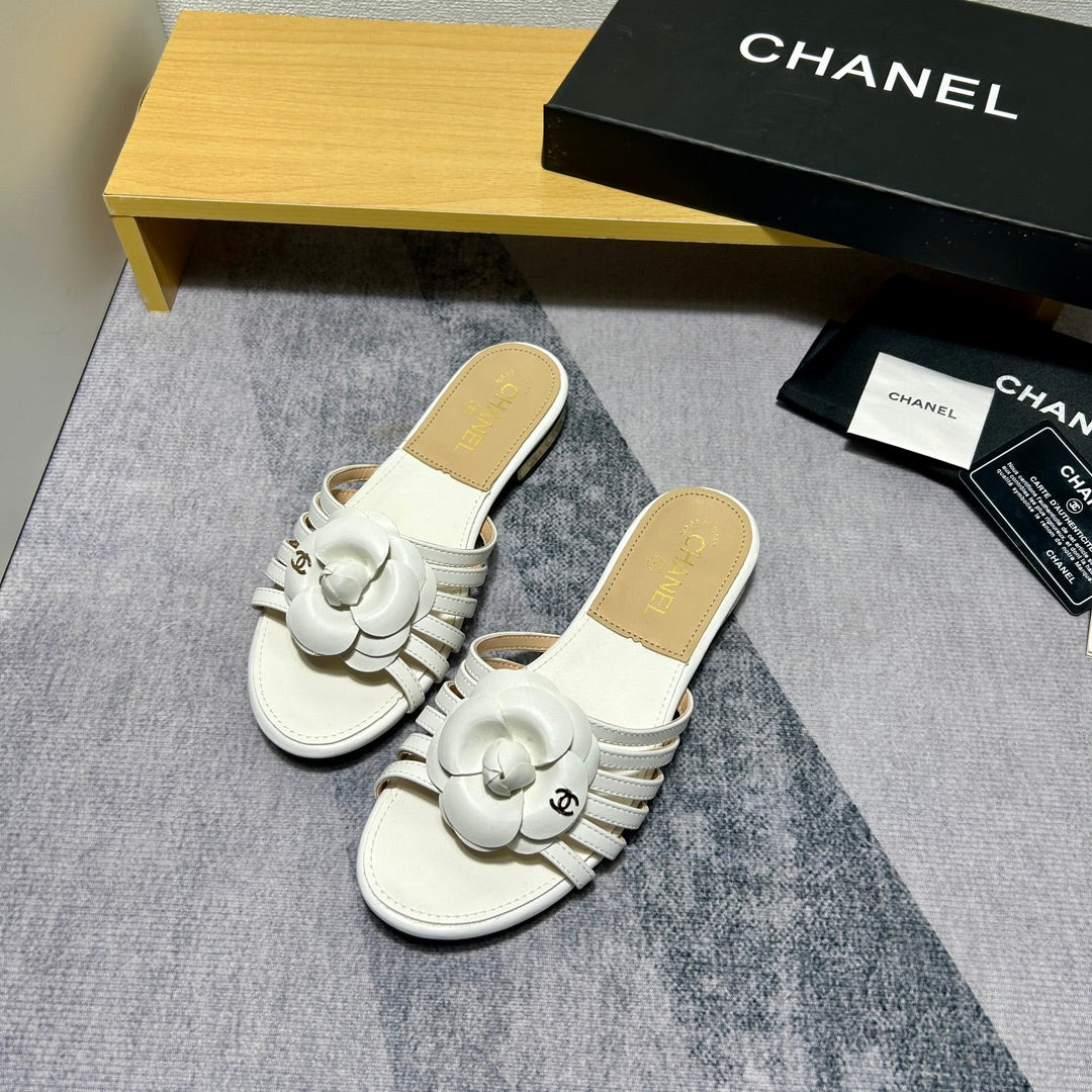 14C186ZDE Stylish Slippers