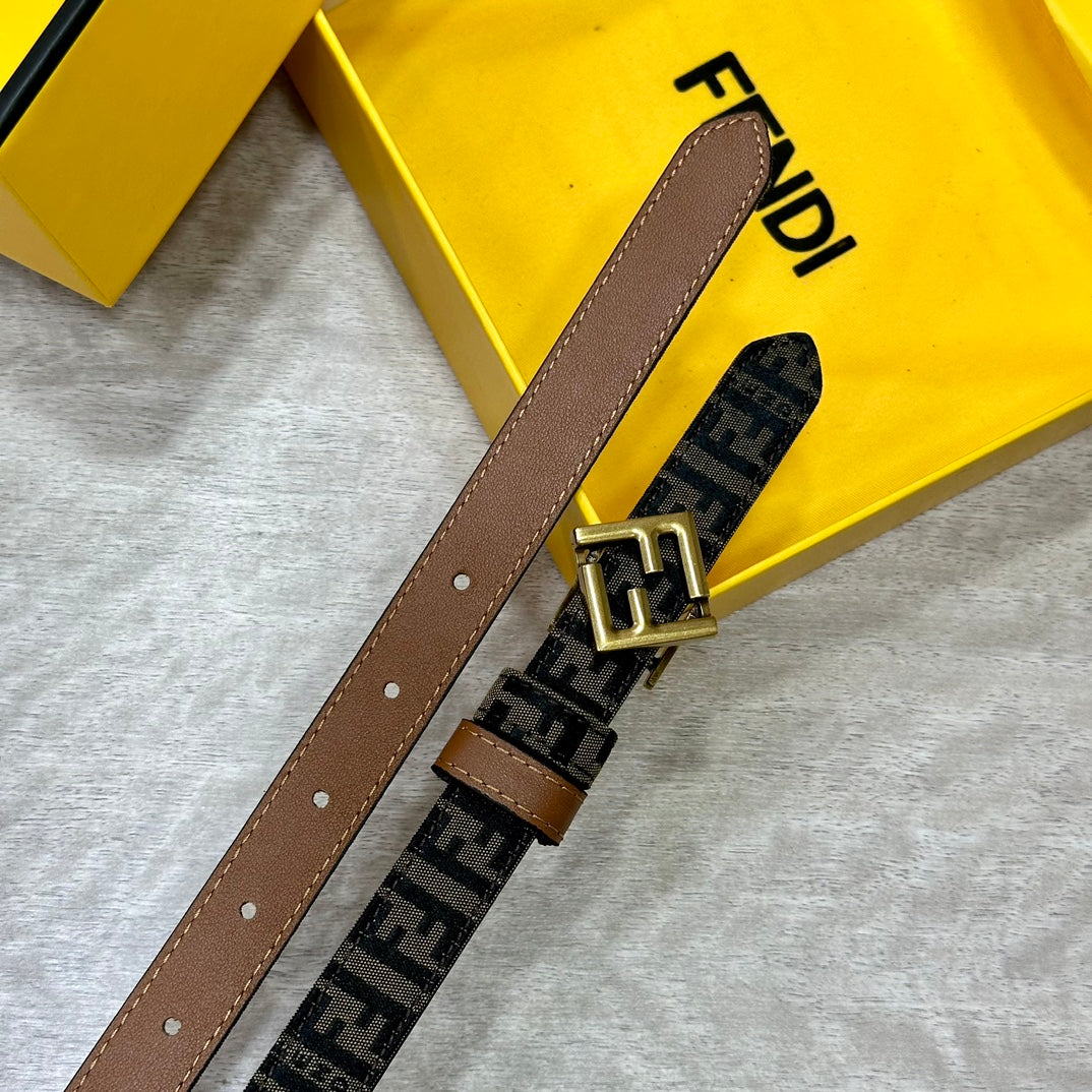 1WF186PDE Stylish  High quality belt With full package