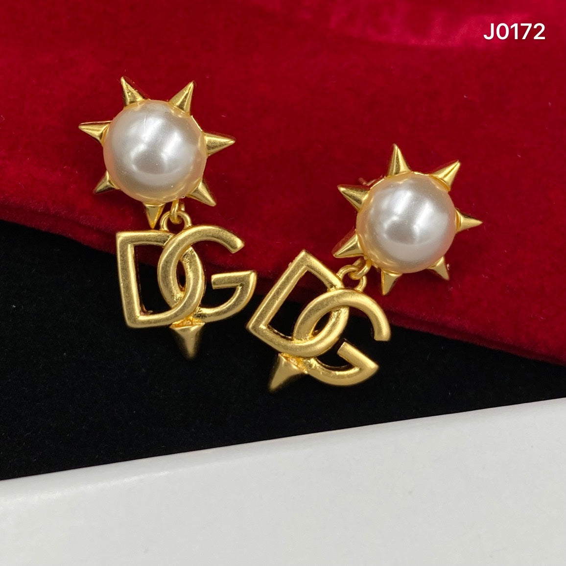 1NV135EDE Stylish Earrings
