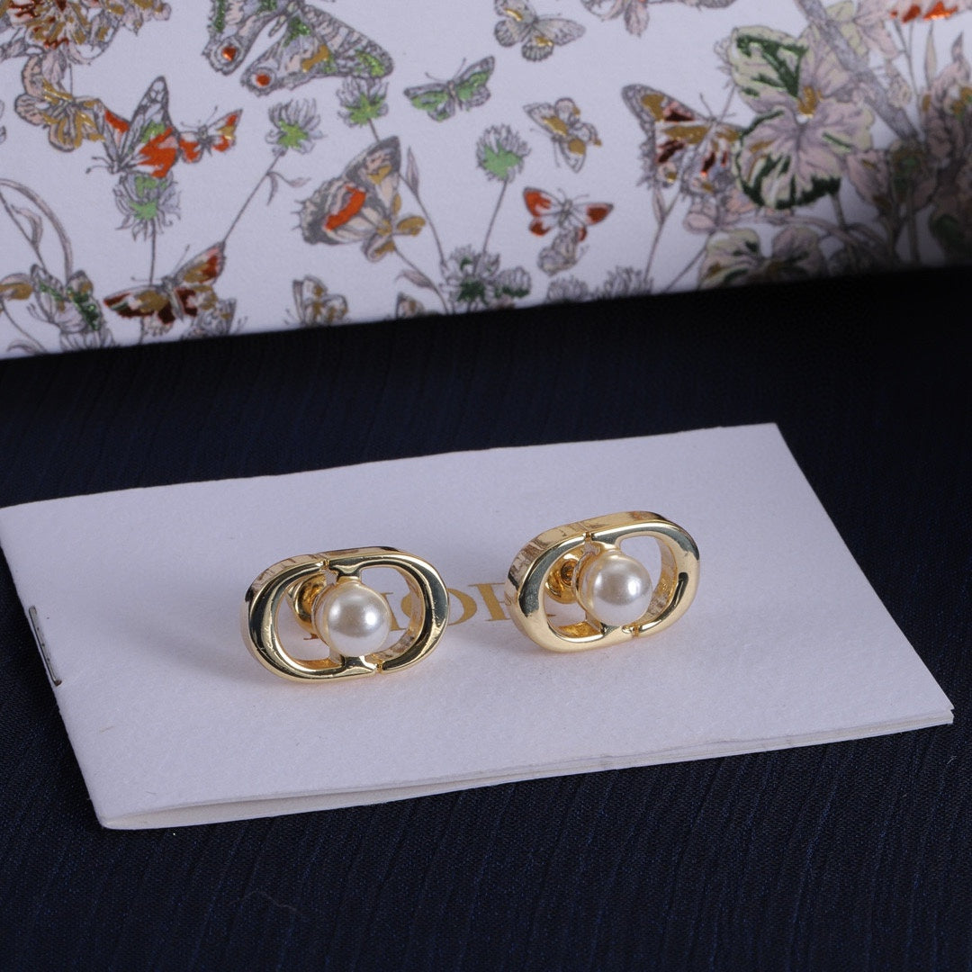 14D256EDE Stylish Earrings