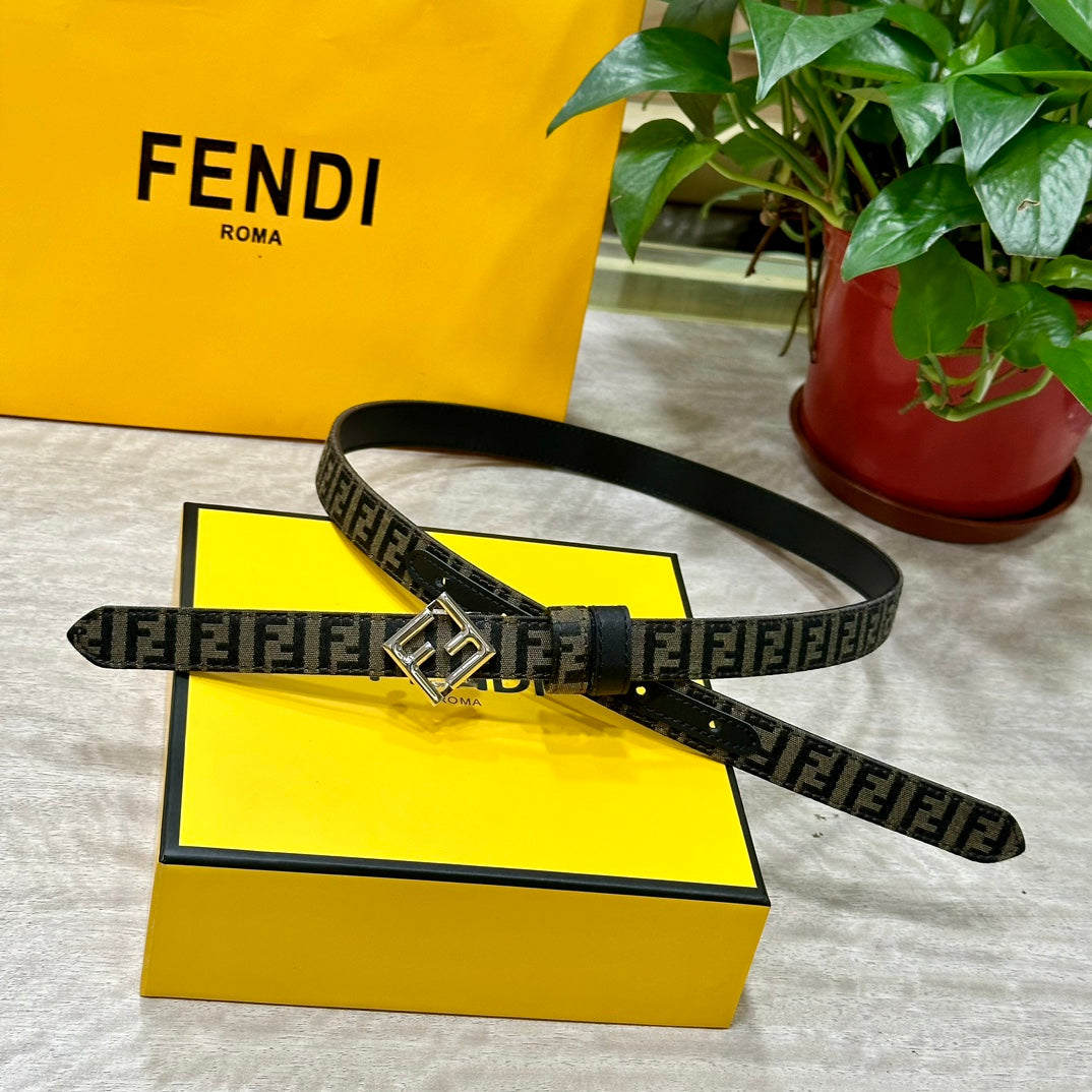 1WF187PDE Stylish  High quality belt With full package