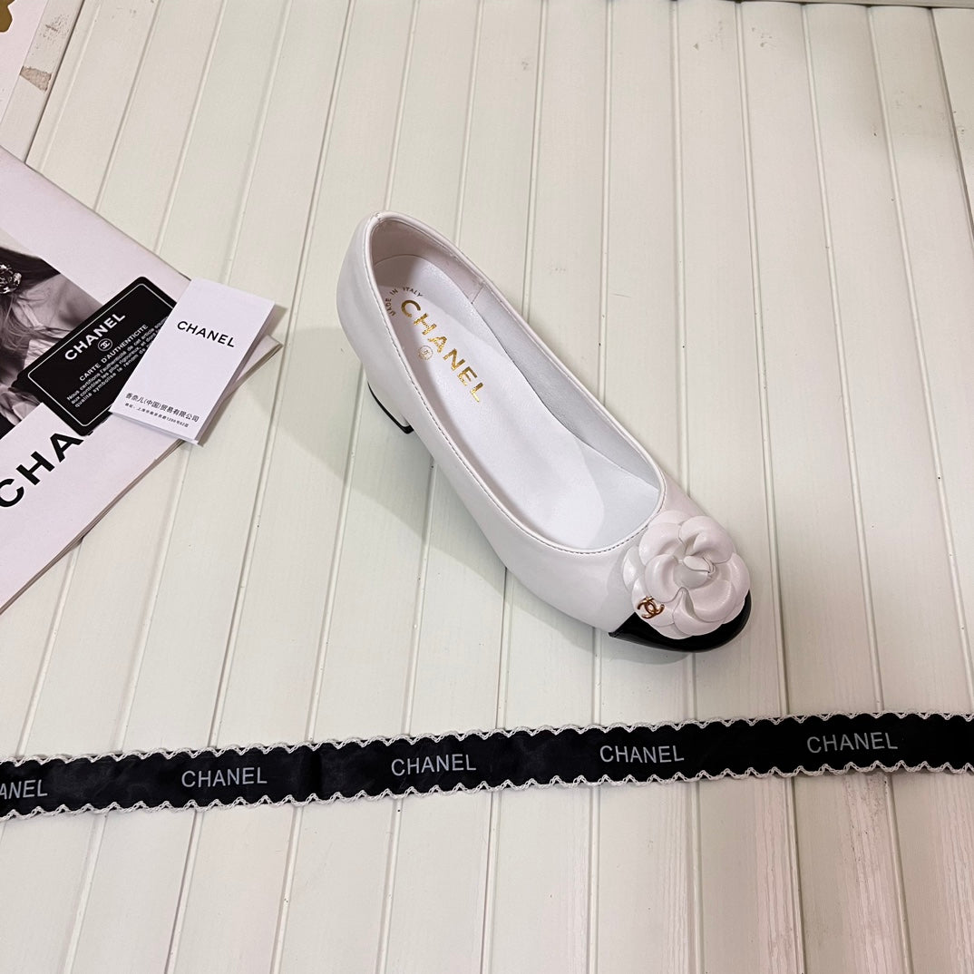 1WC267ZDE Stylish shoes