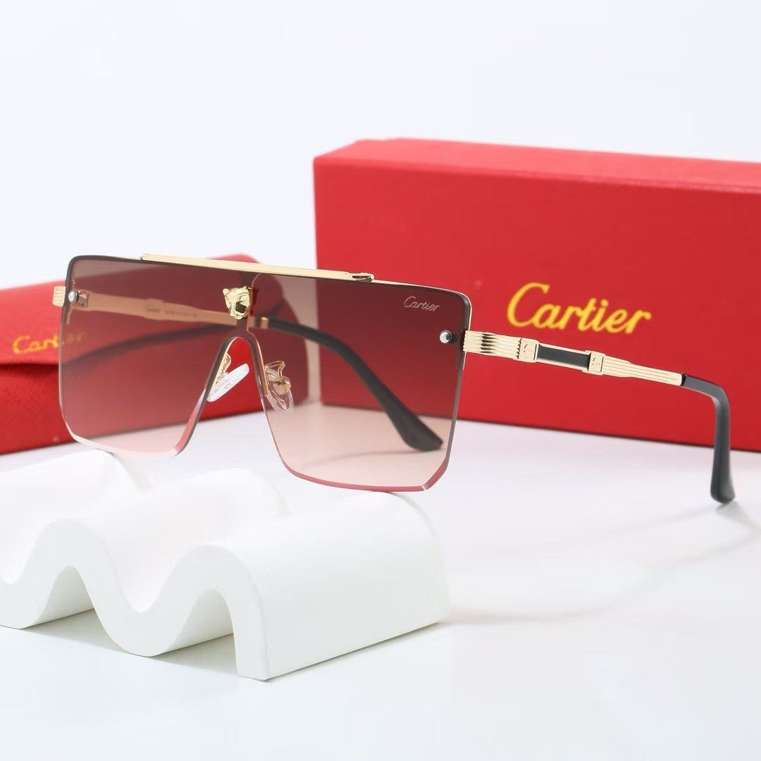 285RK55TDE Stylish Sunglasses